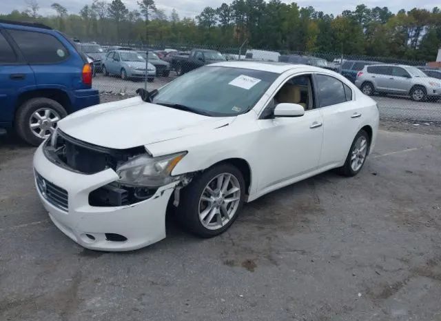 Photo 1 VIN: 1N4AA5AP3BC864638 - NISSAN MAXIMA 