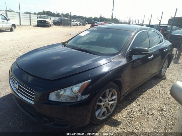 Photo 1 VIN: 1N4AA5AP3BC865868 - NISSAN MAXIMA 