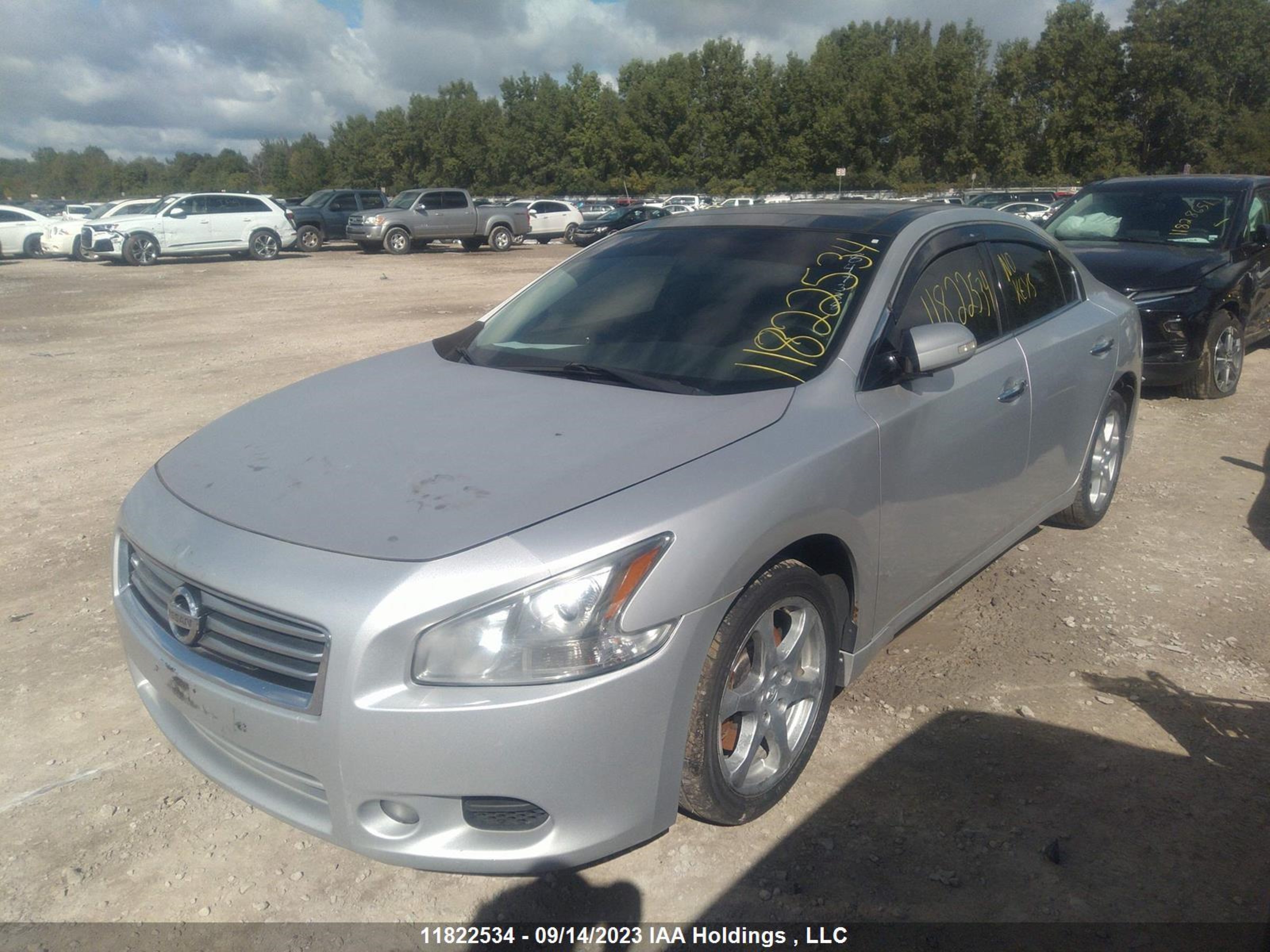 Photo 1 VIN: 1N4AA5AP3CC847338 - NISSAN MAXIMA 