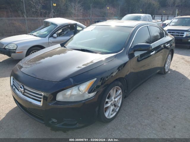 Photo 1 VIN: 1N4AA5AP3CC856170 - NISSAN MAXIMA 