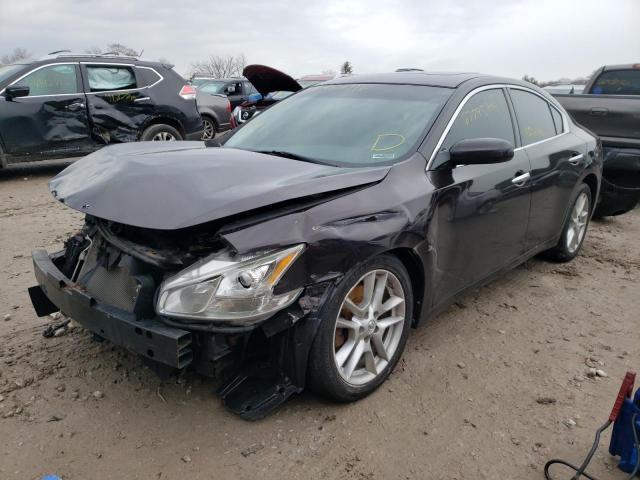 Photo 1 VIN: 1N4AA5AP3DC802448 - NISSAN MAXIMA S 