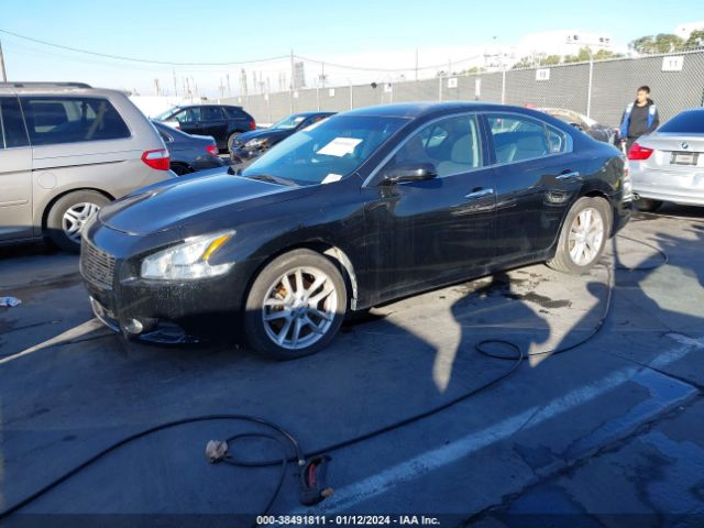 Photo 1 VIN: 1N4AA5AP3DC805334 - NISSAN MAXIMA 