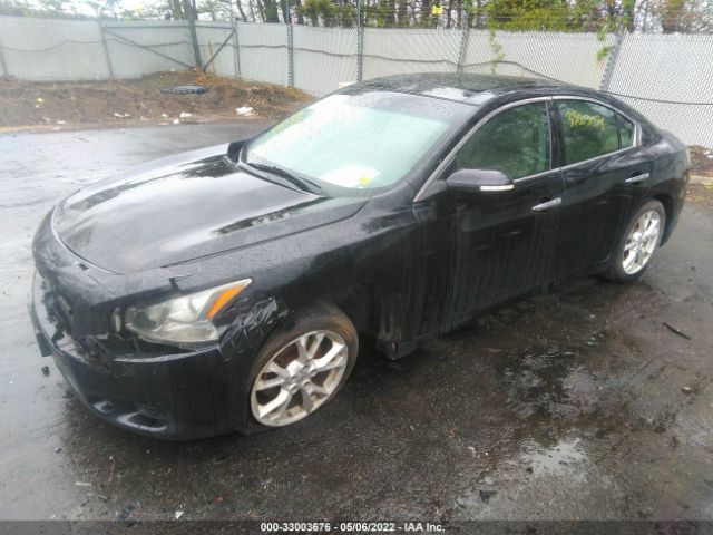 Photo 1 VIN: 1N4AA5AP3DC814051 - NISSAN MAXIMA 