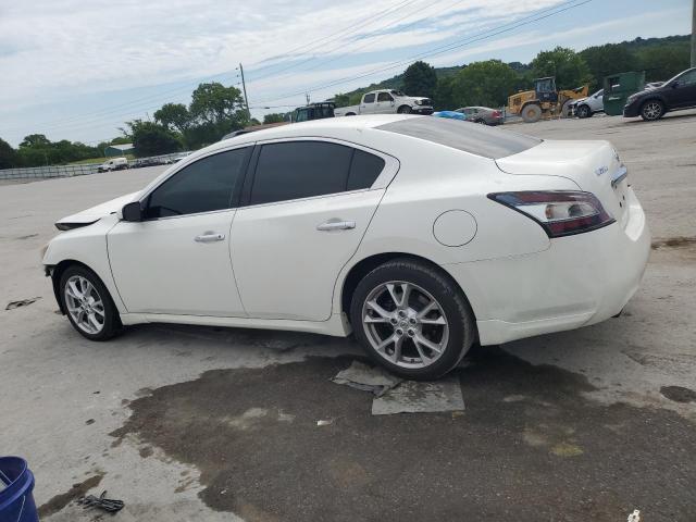 Photo 1 VIN: 1N4AA5AP3DC815636 - NISSAN MAXIMA 