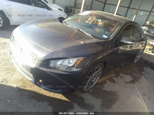 Photo 1 VIN: 1N4AA5AP3DC828001 - NISSAN MAXIMA 