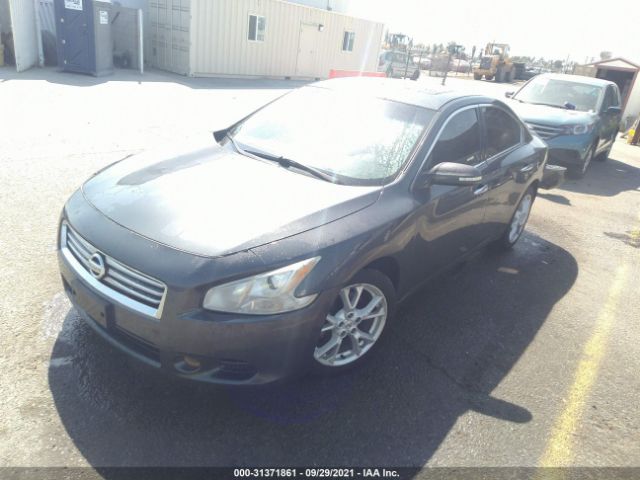 Photo 1 VIN: 1N4AA5AP3DC833036 - NISSAN MAXIMA 