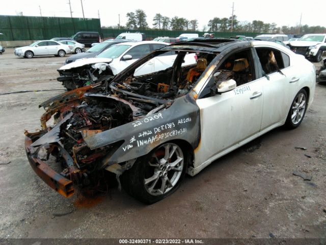 Photo 1 VIN: 1N4AA5AP3DC834381 - NISSAN MAXIMA 