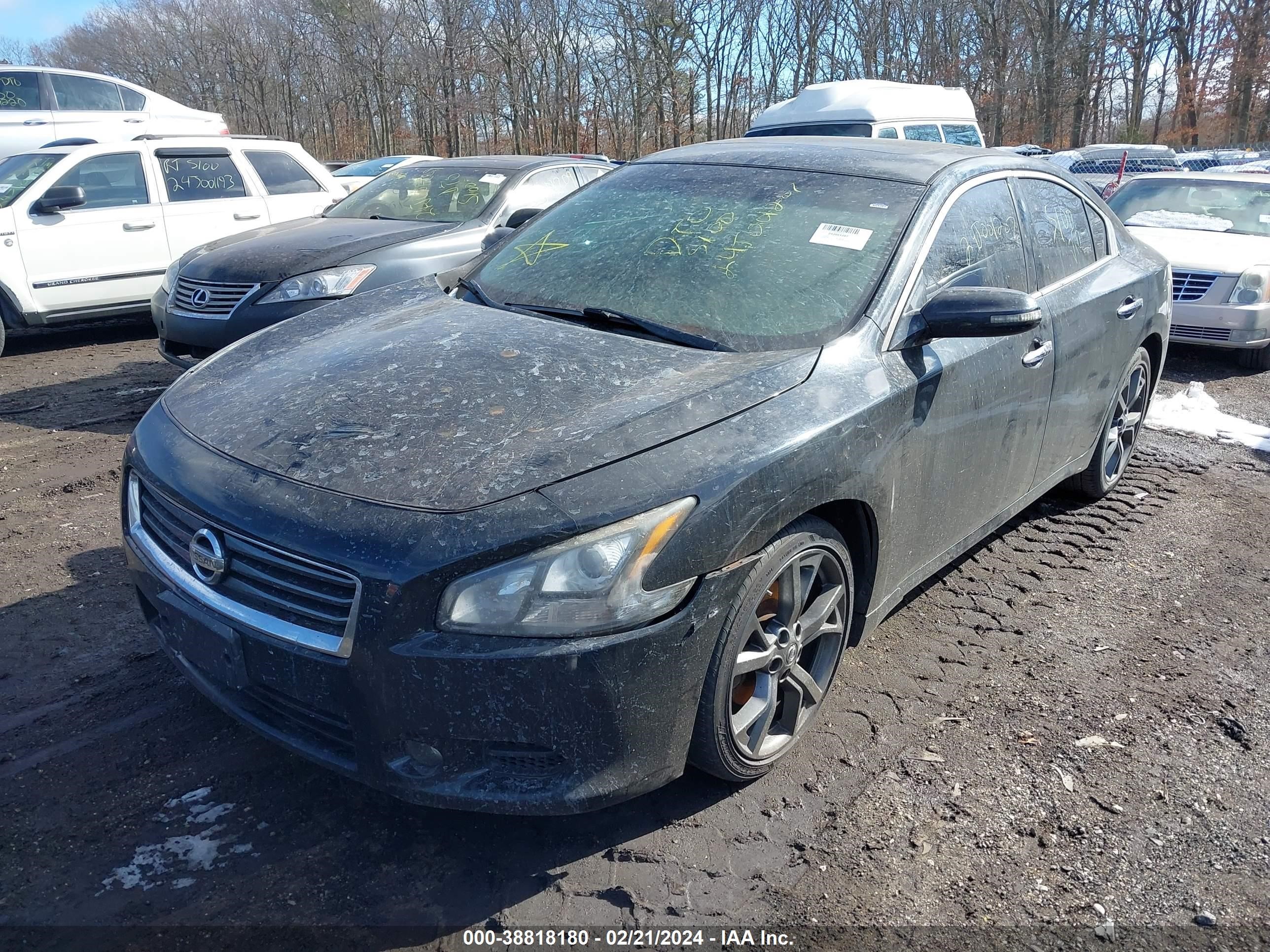 Photo 1 VIN: 1N4AA5AP3DC838253 - NISSAN MAXIMA 