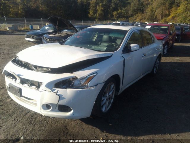 Photo 1 VIN: 1N4AA5AP3DC838463 - NISSAN MAXIMA 