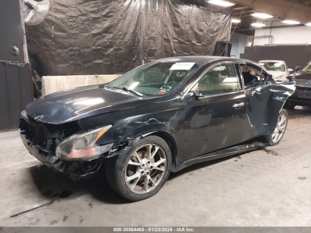 Photo 1 VIN: 1N4AA5AP3DC839712 - NISSAN MAXIMA 