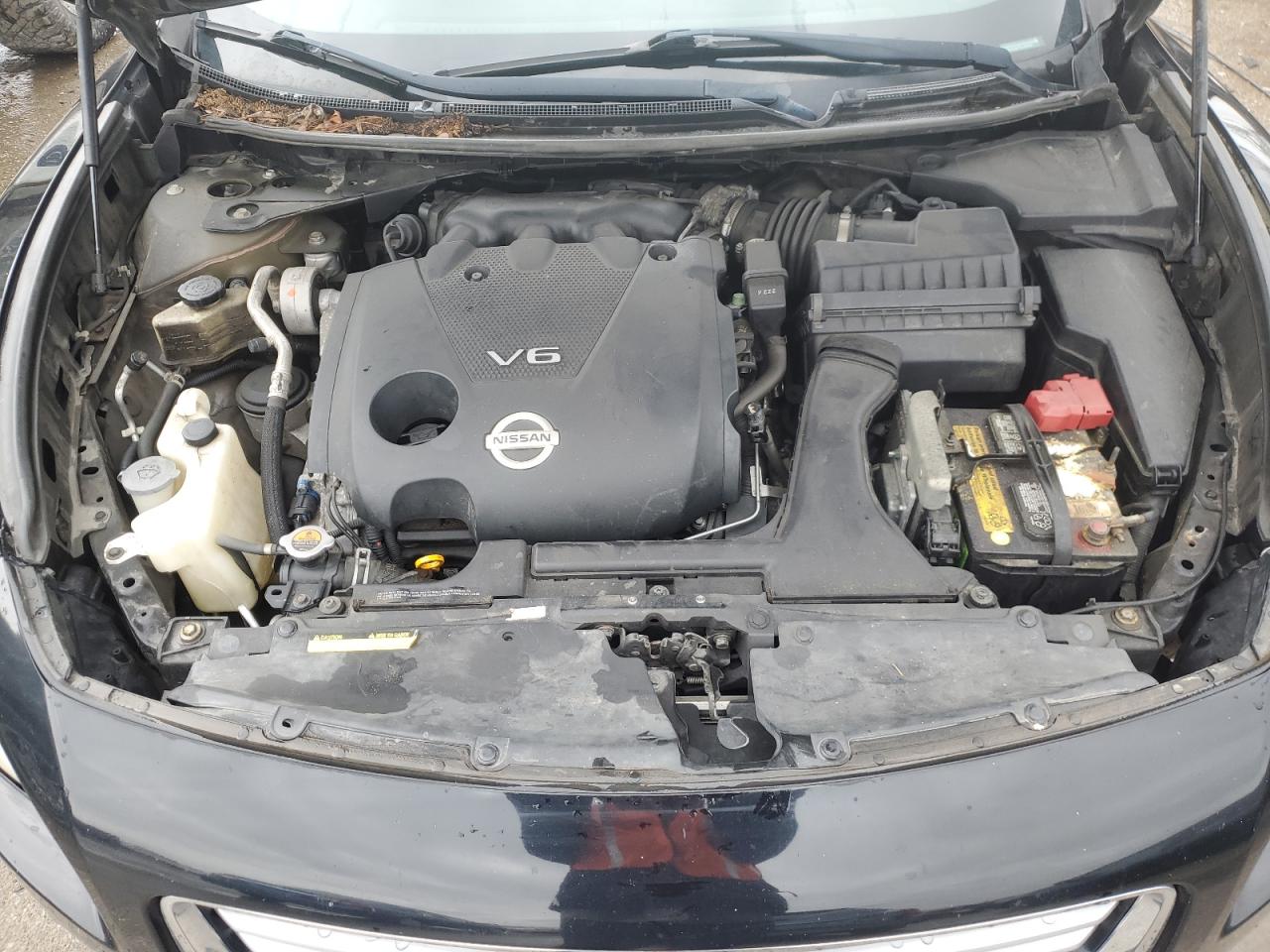 Photo 10 VIN: 1N4AA5AP3DC845087 - NISSAN MAXIMA 