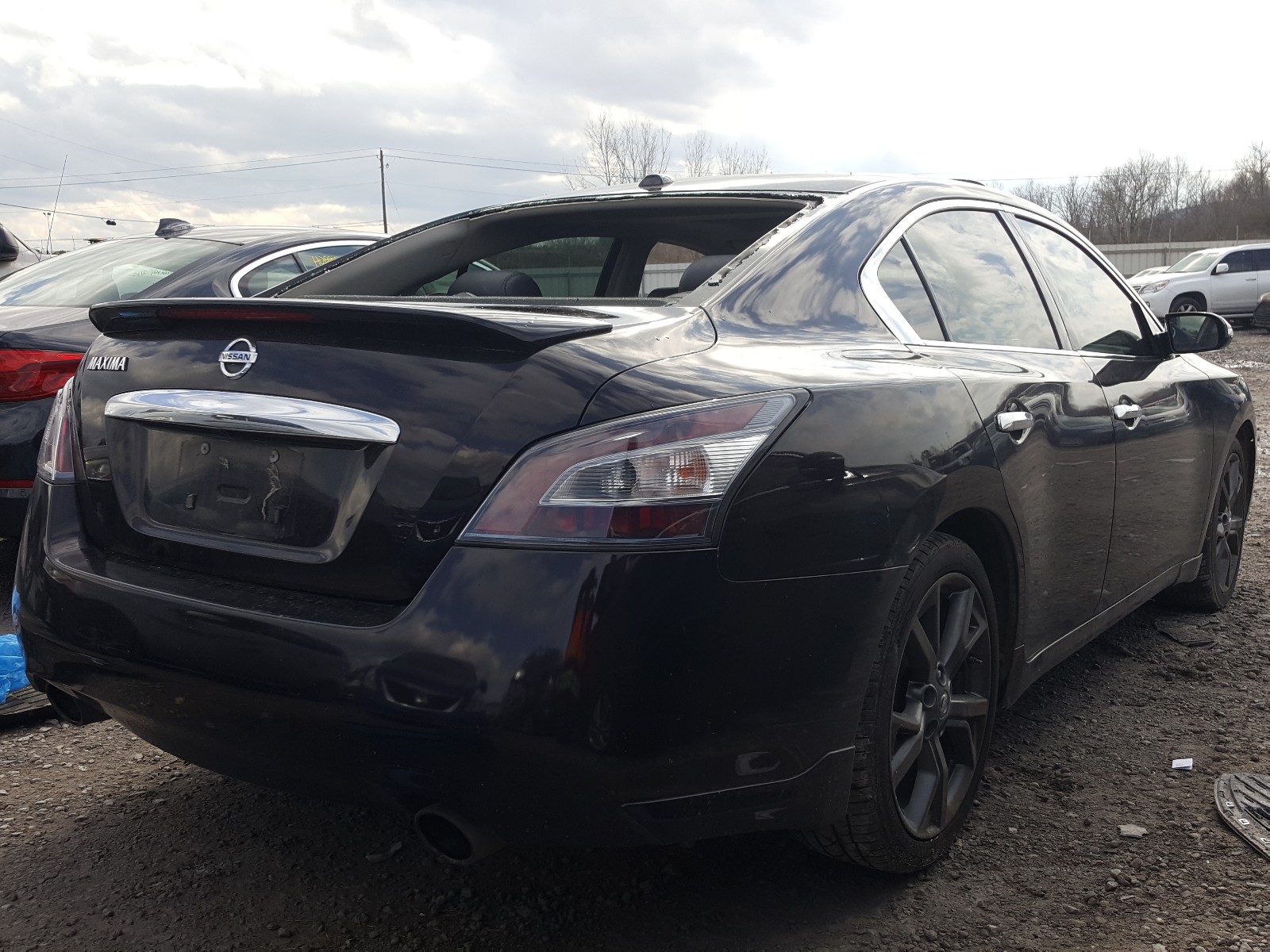 Photo 3 VIN: 1N4AA5AP3EC442020 - NISSAN MAXIMA S 