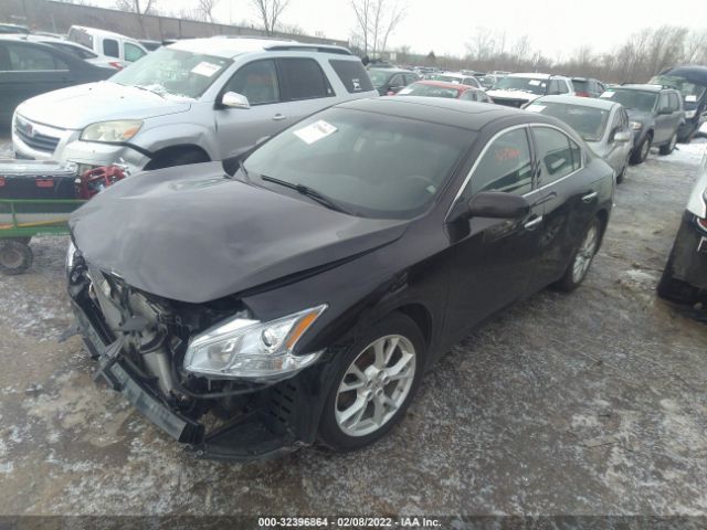 Photo 1 VIN: 1N4AA5AP3EC444673 - NISSAN MAXIMA 