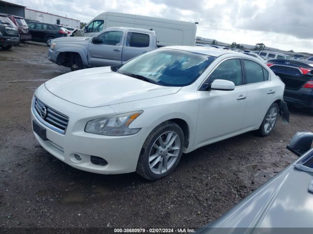 Photo 1 VIN: 1N4AA5AP3EC463756 - NISSAN MAXIMA 