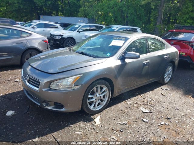 Photo 1 VIN: 1N4AA5AP3EC473607 - NISSAN MAXIMA 