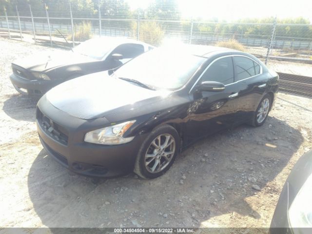 Photo 1 VIN: 1N4AA5AP3EC483215 - NISSAN MAXIMA 