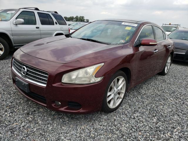 Photo 1 VIN: 1N4AA5AP4AC814295 - NISSAN MAXIMA S 