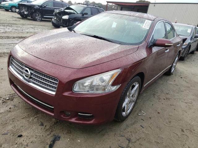 Photo 1 VIN: 1N4AA5AP4AC815446 - NISSAN MAXIMA S 