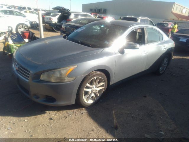 Photo 1 VIN: 1N4AA5AP4AC817889 - NISSAN MAXIMA 