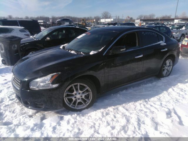 Photo 1 VIN: 1N4AA5AP4AC824065 - NISSAN MAXIMA 