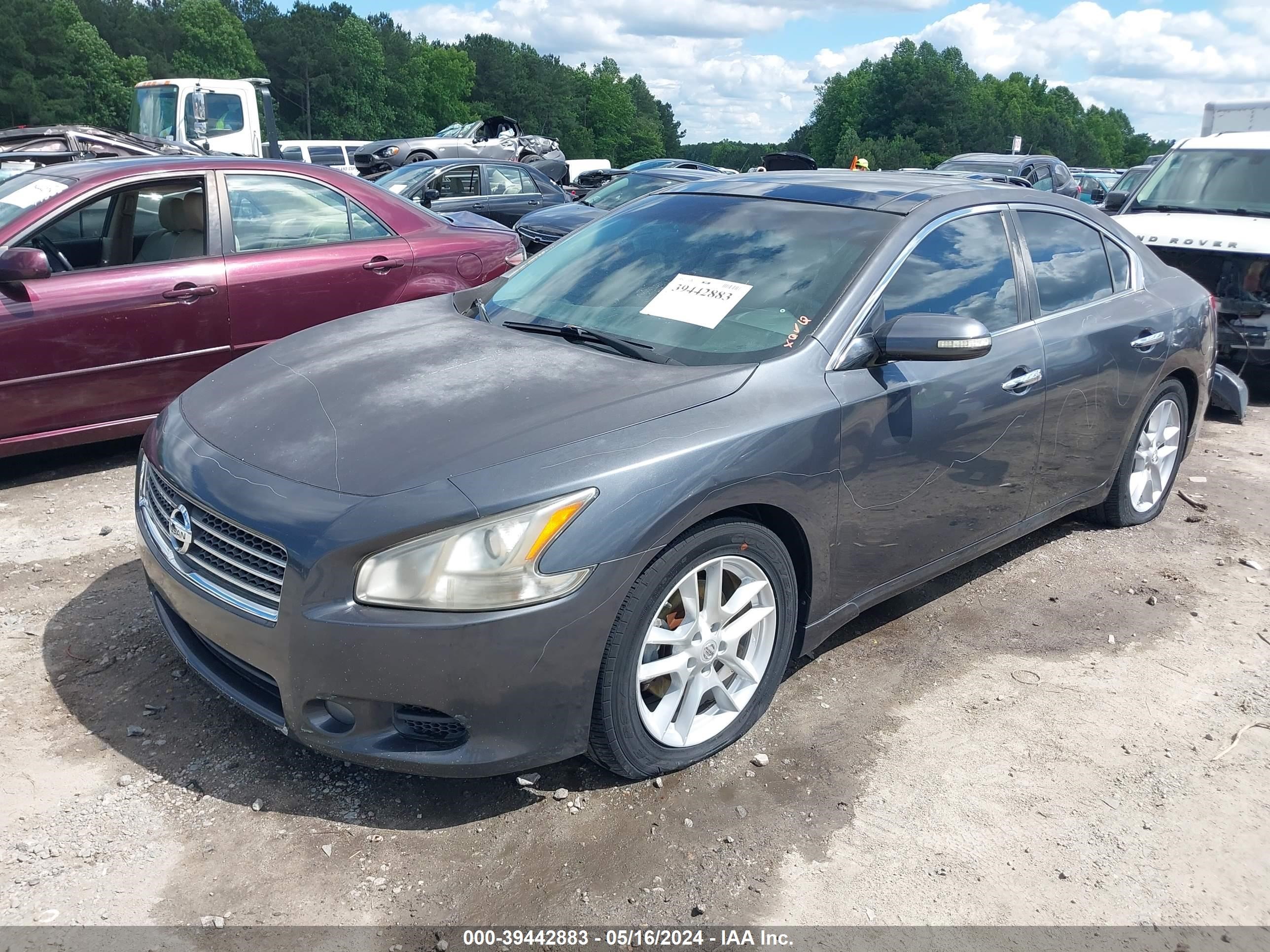 Photo 1 VIN: 1N4AA5AP4AC825894 - NISSAN MAXIMA 