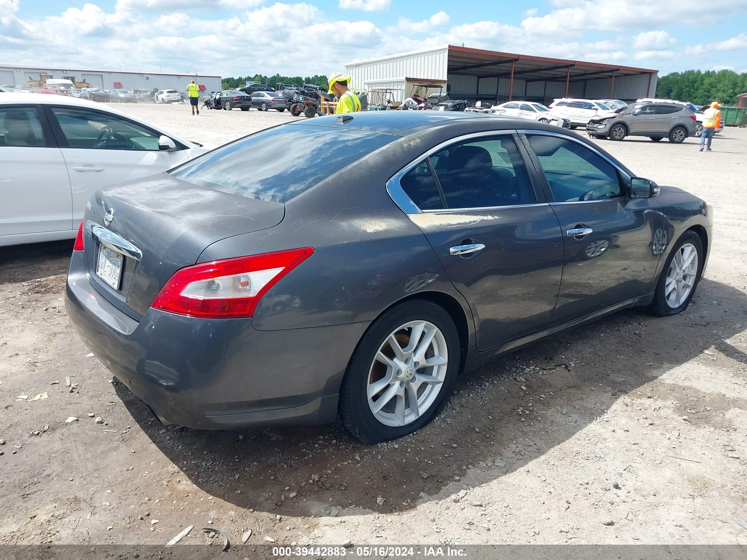 Photo 3 VIN: 1N4AA5AP4AC825894 - NISSAN MAXIMA 