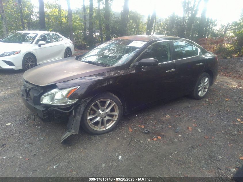 Photo 1 VIN: 1N4AA5AP4AC826236 - NISSAN MAXIMA 