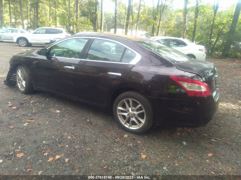 Photo 2 VIN: 1N4AA5AP4AC826236 - NISSAN MAXIMA 