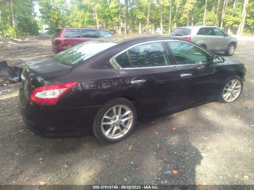 Photo 3 VIN: 1N4AA5AP4AC826236 - NISSAN MAXIMA 