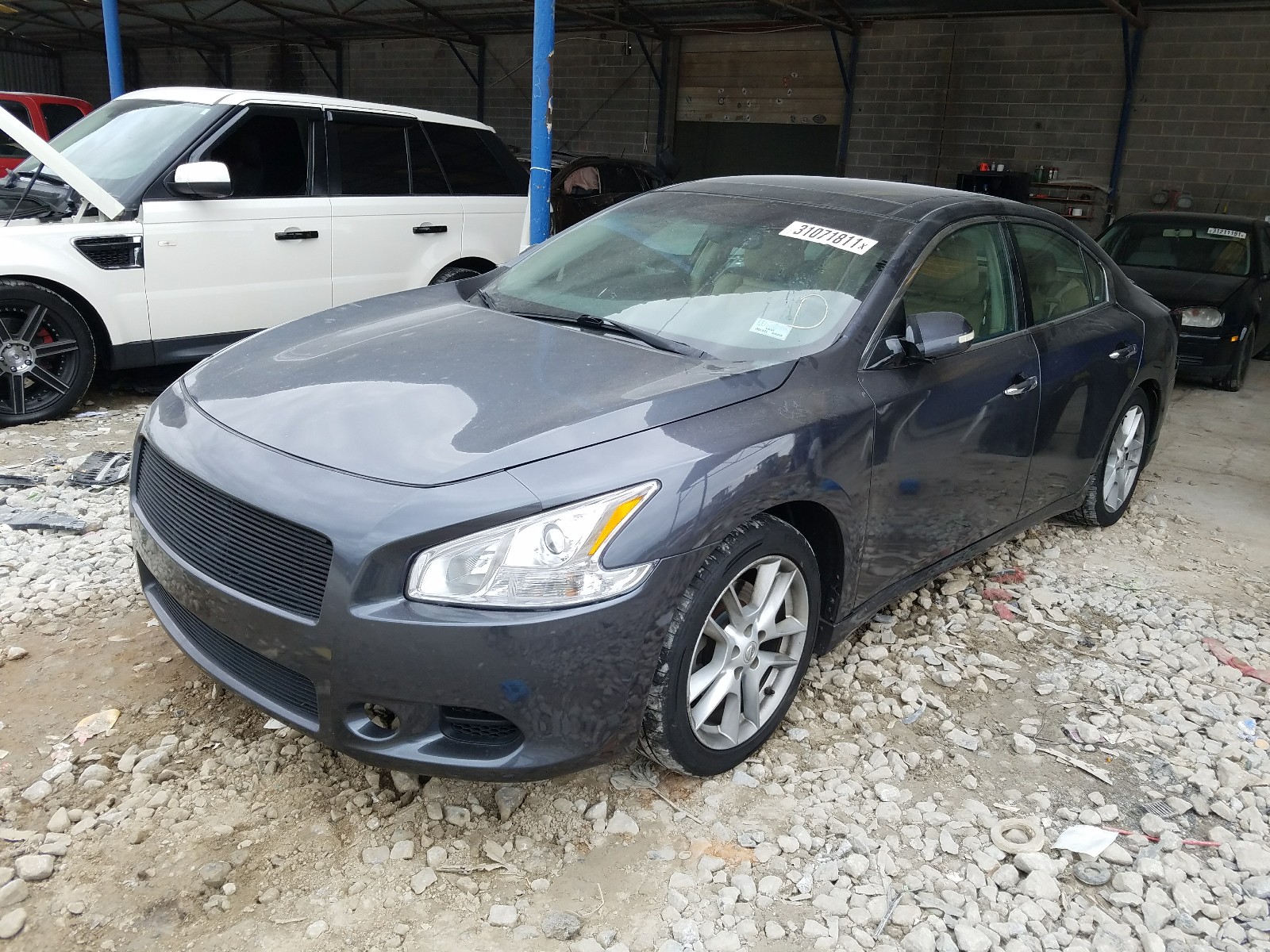 Photo 1 VIN: 1N4AA5AP4AC827712 - NISSAN MAXIMA 