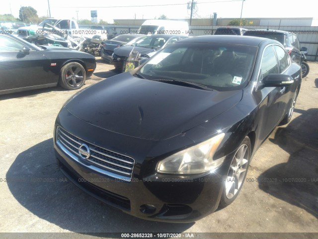 Photo 1 VIN: 1N4AA5AP4AC840816 - NISSAN MAXIMA 