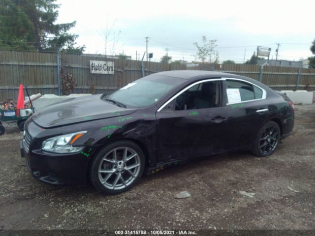 Photo 5 VIN: 1N4AA5AP4AC841061 - NISSAN MAXIMA 