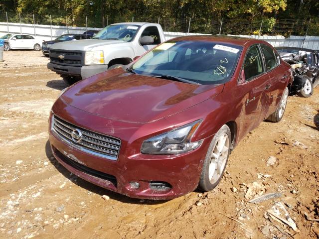 Photo 1 VIN: 1N4AA5AP4AC842730 - NISSAN MAXIMA S 