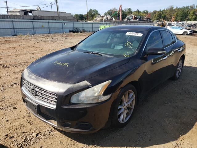 Photo 1 VIN: 1N4AA5AP4AC853467 - NISSAN MAXIMA S 