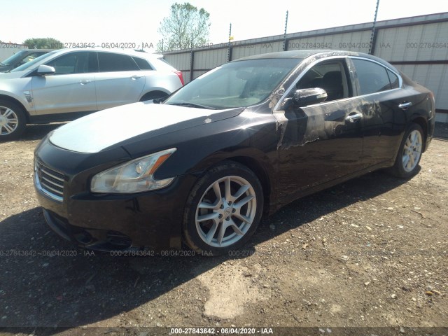 Photo 1 VIN: 1N4AA5AP4AC859625 - NISSAN MAXIMA 