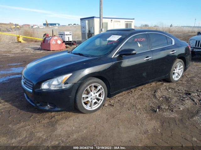 Photo 1 VIN: 1N4AA5AP4AC862573 - NISSAN MAXIMA 