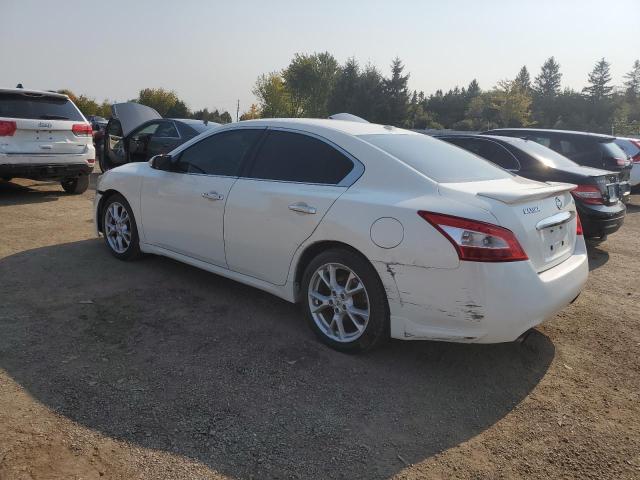 Photo 1 VIN: 1N4AA5AP4AC864761 - NISSAN MAXIMA S 