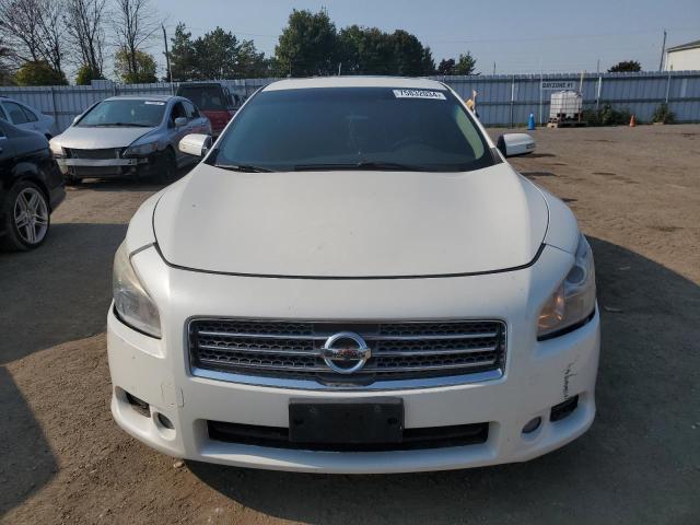 Photo 4 VIN: 1N4AA5AP4AC864761 - NISSAN MAXIMA S 