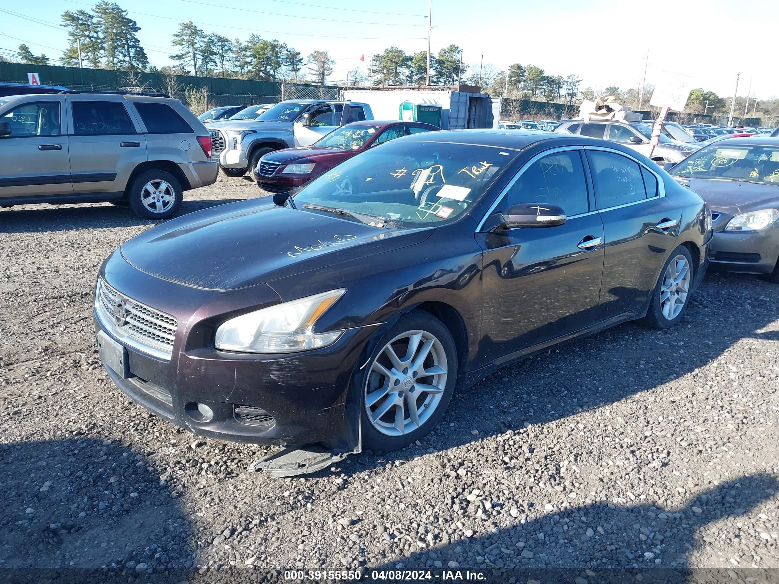 Photo 1 VIN: 1N4AA5AP4AC866252 - NISSAN MAXIMA 