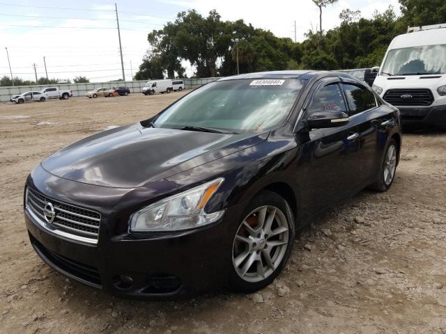 Photo 1 VIN: 1N4AA5AP4AC869829 - NISSAN MAXIMA S 