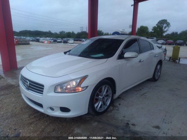 Photo 1 VIN: 1N4AA5AP4BC807476 - NISSAN MAXIMA 