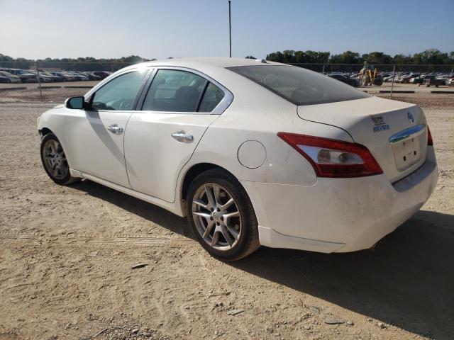 Photo 1 VIN: 1N4AA5AP4BC808403 - NISSAN MAXIMA 