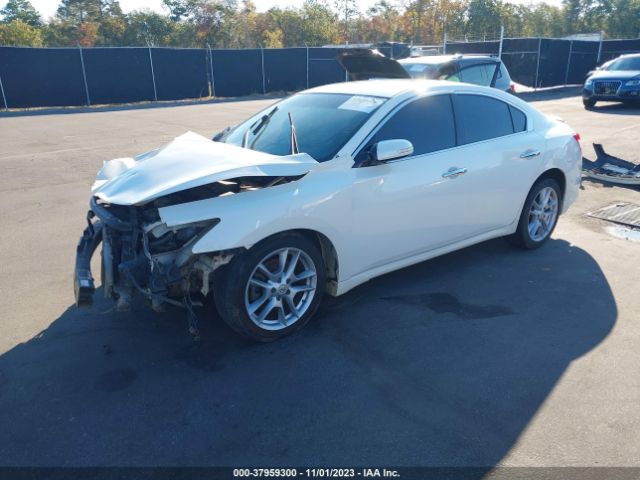 Photo 1 VIN: 1N4AA5AP4BC808966 - NISSAN MAXIMA 