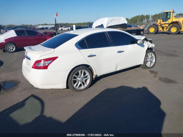 Photo 3 VIN: 1N4AA5AP4BC808966 - NISSAN MAXIMA 