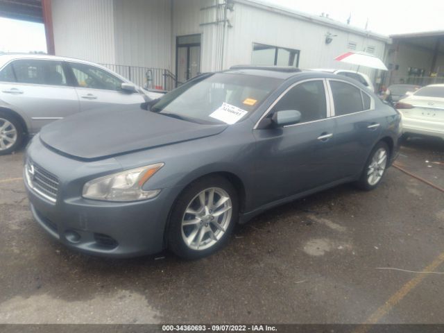 Photo 1 VIN: 1N4AA5AP4BC812788 - NISSAN MAXIMA 