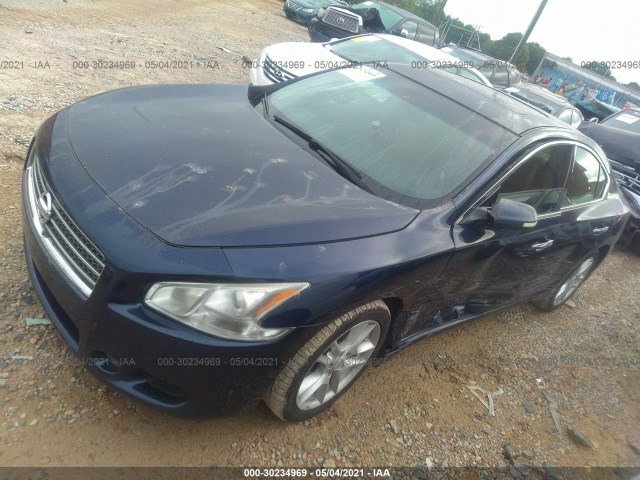 Photo 1 VIN: 1N4AA5AP4BC813181 - NISSAN MAXIMA 