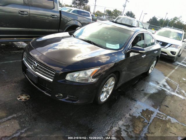 Photo 1 VIN: 1N4AA5AP4BC817778 - NISSAN MAXIMA 