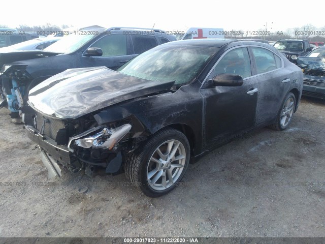 Photo 1 VIN: 1N4AA5AP4BC820843 - NISSAN MAXIMA 