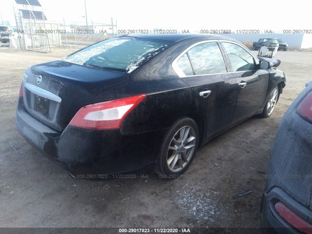 Photo 3 VIN: 1N4AA5AP4BC820843 - NISSAN MAXIMA 