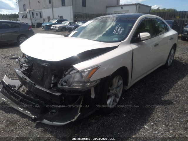 Photo 1 VIN: 1N4AA5AP4BC822284 - NISSAN MAXIMA 